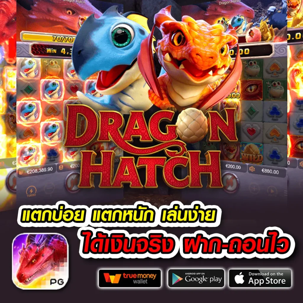 kod munz ไม่มีขั้นต่ำ